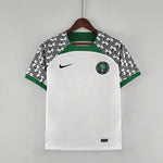 Nigeria 22-23 | World Cup | Away