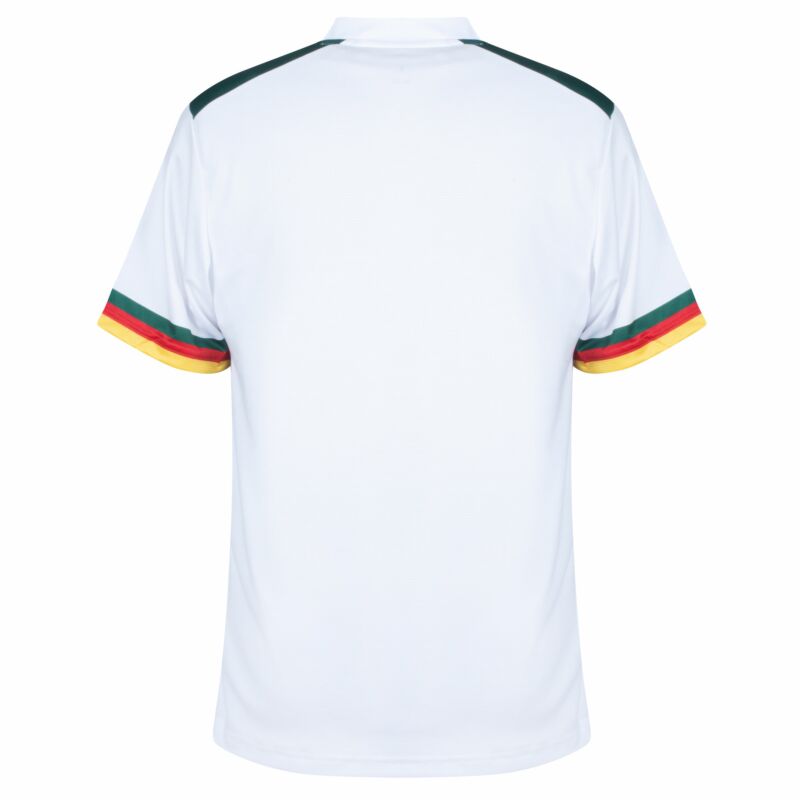 Cameroon 22-23 | World Cup | Away