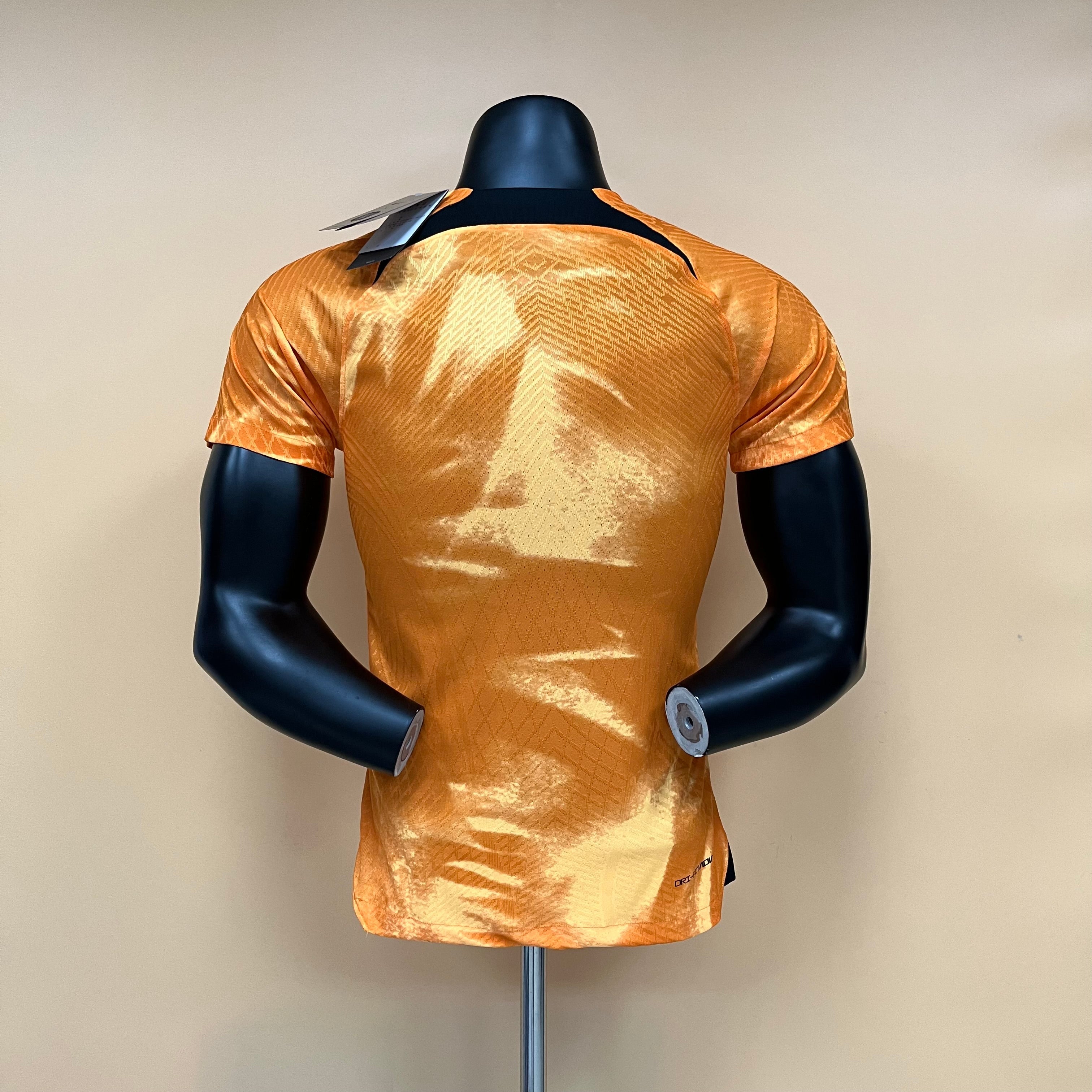 Netherlands 22 | Player Version | Home